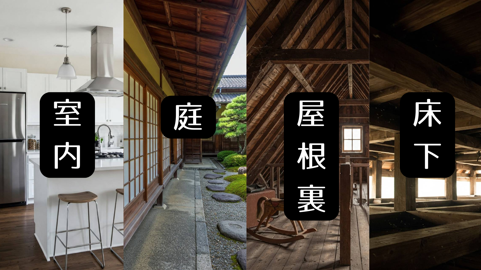 害虫について